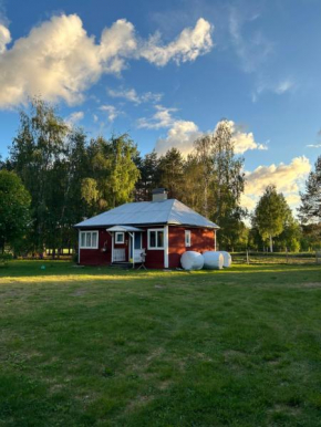 Hus i ljuset, Näsåker